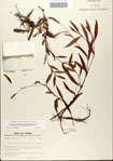 000045017-thumbnail.jpg