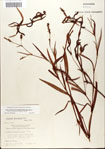 000045018-thumbnail.jpg