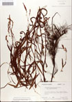 000045019-thumbnail.jpg