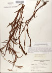 000045020-thumbnail.jpg