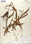 000045022-thumbnail.jpg