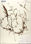 000045023-thumbnail.jpg
