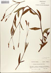 000045024-thumbnail.jpg