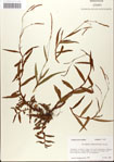 000045026-thumbnail.jpg