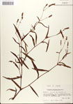 000045027-thumbnail.jpg