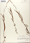 000045028-thumbnail.jpg