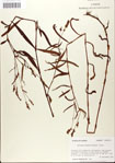 000045030-thumbnail.jpg