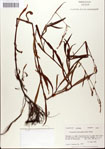 000045032-thumbnail.jpg