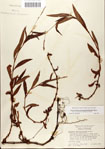 000045034-thumbnail.jpg