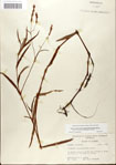 000045035-thumbnail.jpg