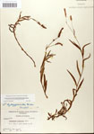 000045038-thumbnail.jpg