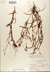 000045039-thumbnail.jpg