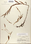 000045040-thumbnail.jpg