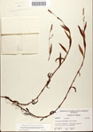 000045041-thumbnail.jpg