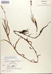 000045042-thumbnail.jpg