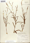 000045043-thumbnail.jpg