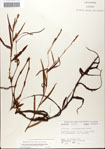 000045044-thumbnail.jpg