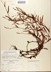 000045046-thumbnail.jpg