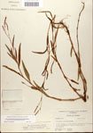 000045048-thumbnail.jpg