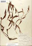 000045049-thumbnail.jpg