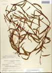 000045050-thumbnail.jpg