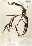 000045053-thumbnail.jpg
