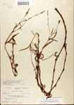 000045054-thumbnail.jpg
