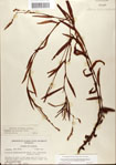 000045055-thumbnail.jpg