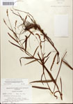 000045056-thumbnail.jpg