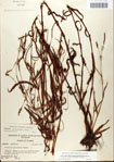 000045057-thumbnail.jpg