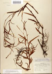 000045058-thumbnail.jpg