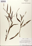 000045060-thumbnail.jpg