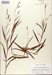 000045063-thumbnail.jpg