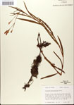 000045064-thumbnail.jpg