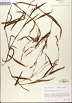 000045065-thumbnail.jpg