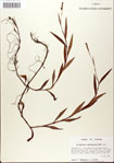 000045066-thumbnail.jpg