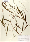 000045069-thumbnail.jpg