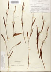 000045072-thumbnail.jpg