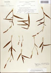 000045074-thumbnail.jpg