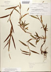 000045075-thumbnail.jpg