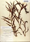 000045076-thumbnail.jpg