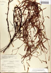 000045077-thumbnail.jpg