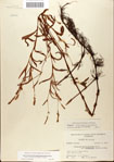 000045079-thumbnail.jpg