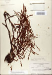 000045080-thumbnail.jpg