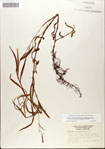 000045081-thumbnail.jpg