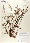000045082-thumbnail.jpg