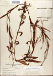 000045083-thumbnail.jpg