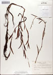 000045084-thumbnail.jpg