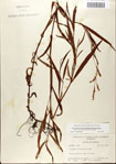 000045085-thumbnail.jpg
