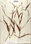000045086-thumbnail.jpg